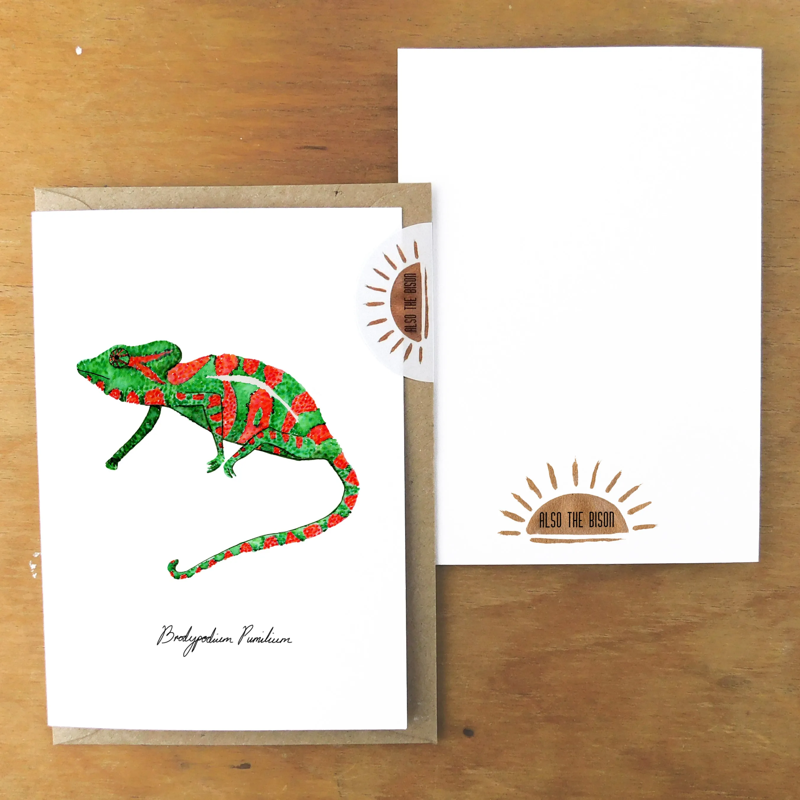 Camouflage Cape Dwarf Chameleon Greetings Card