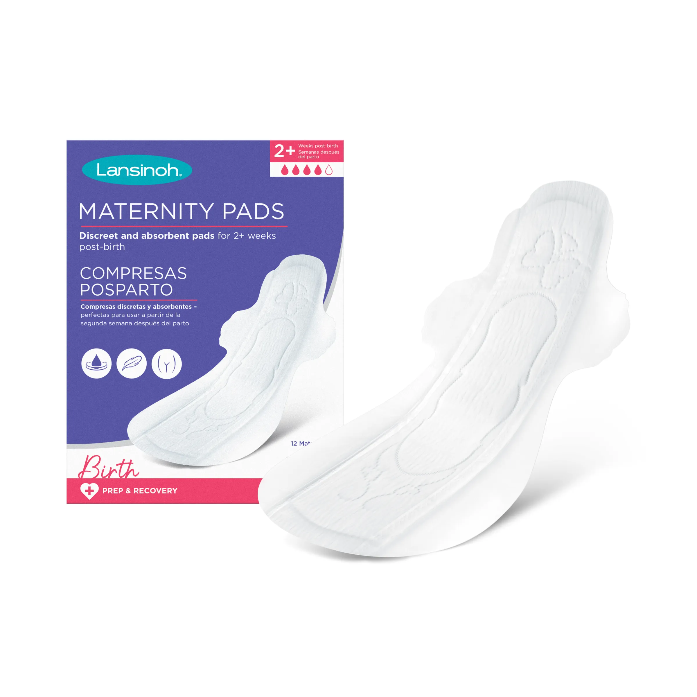 Lansinoh Discreet & Absorbent Maternity Pads: 2  weeks post-birth 12 Pack