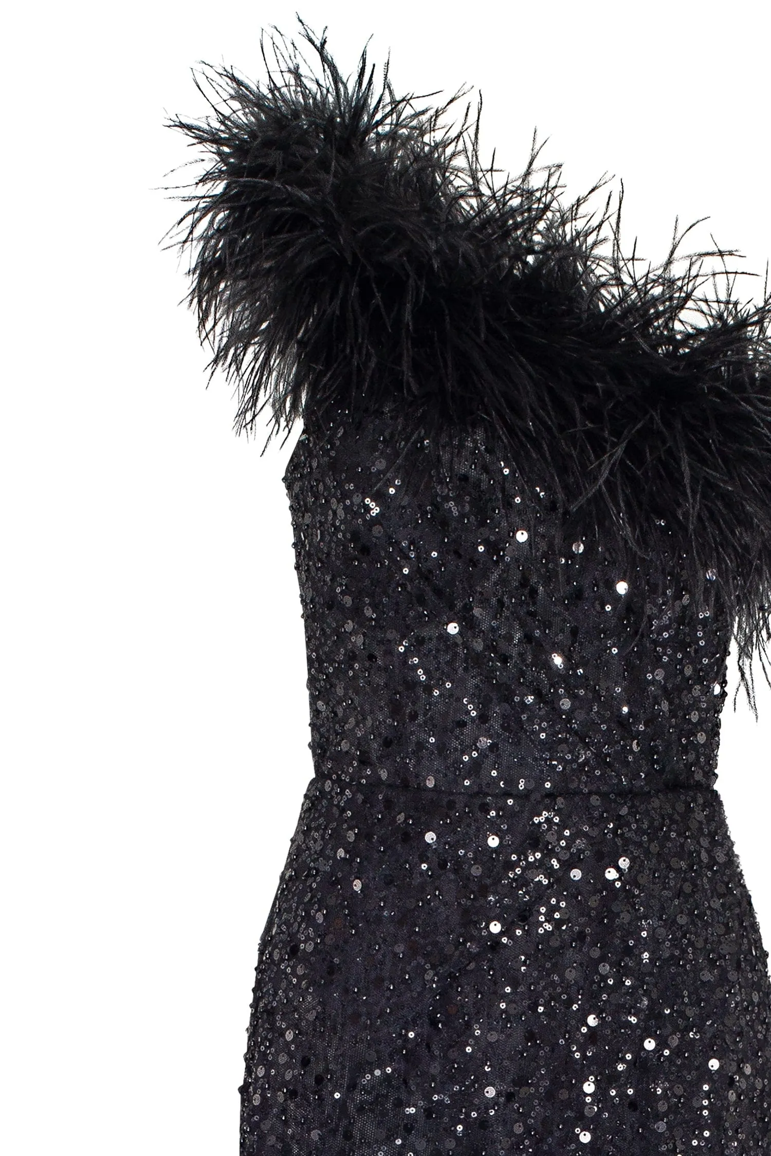 Striking one-shoulder maxi dress with feathers and sequins