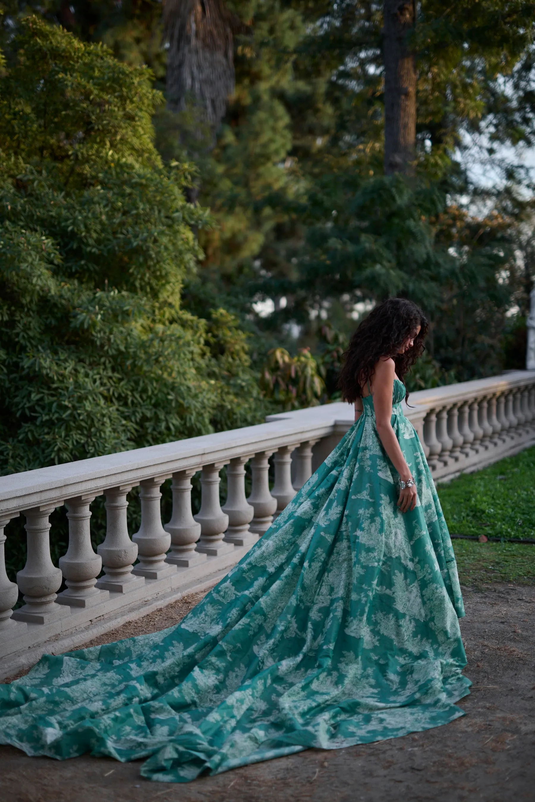 The Cedar Toile Roman Holiday Gown