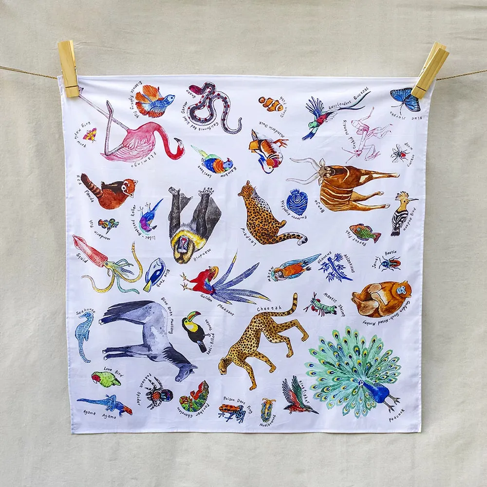 Wonderie A Kingdom of Rainbow Animals Playcloth